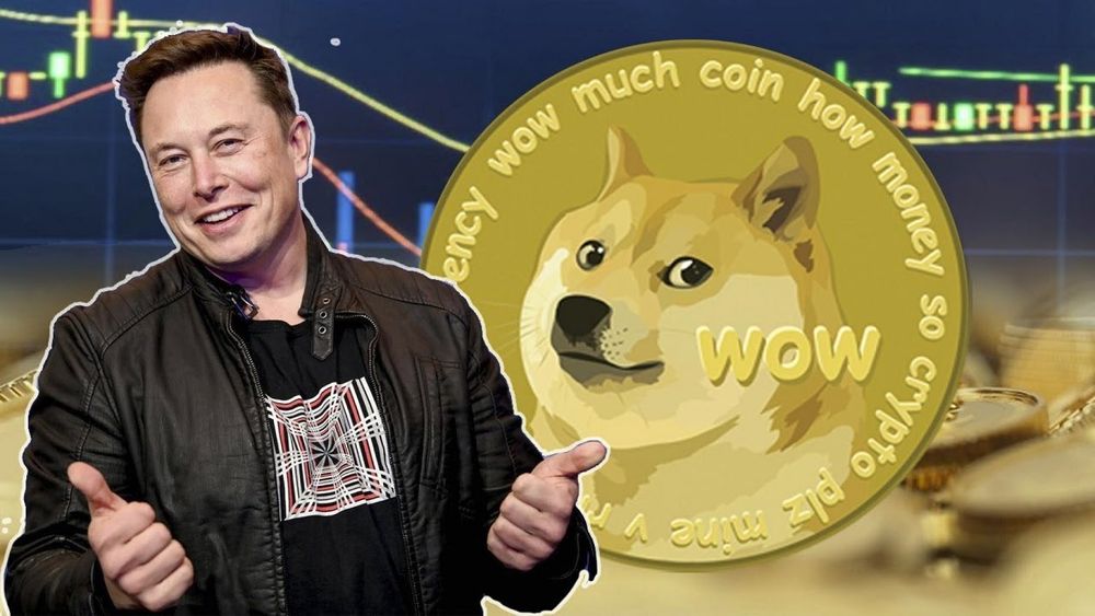 Dogecoin (DOGE) взлетел на 36% после твитта Маска