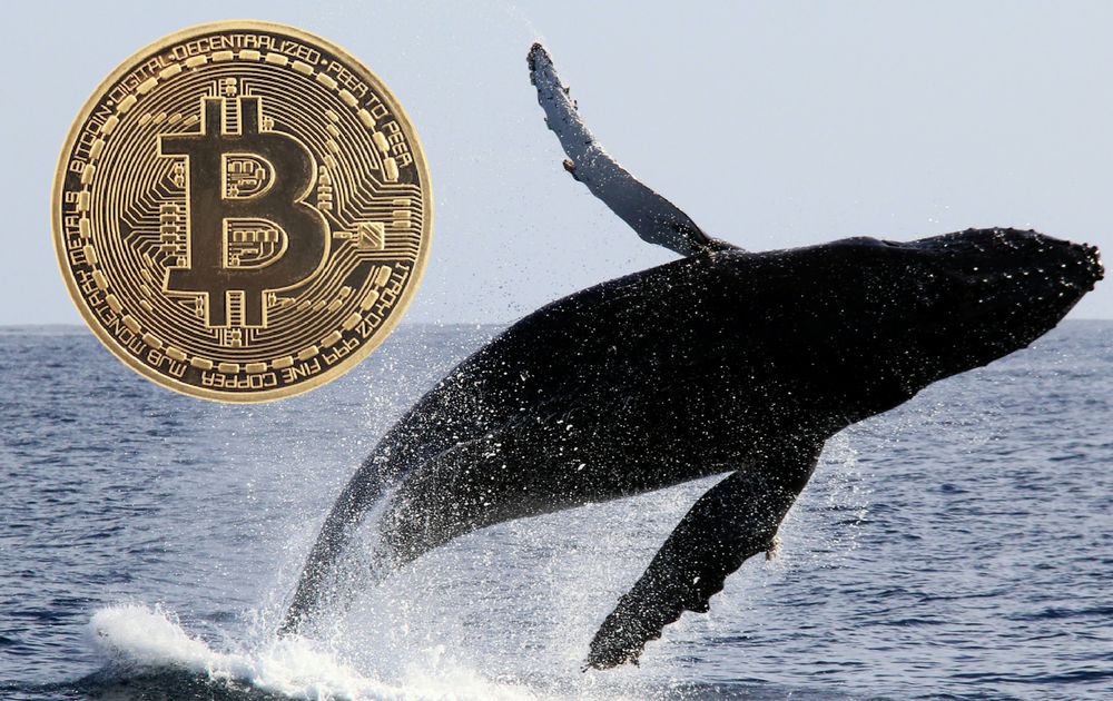 Биткоин: крипто-киты агрессивно скупают BTC