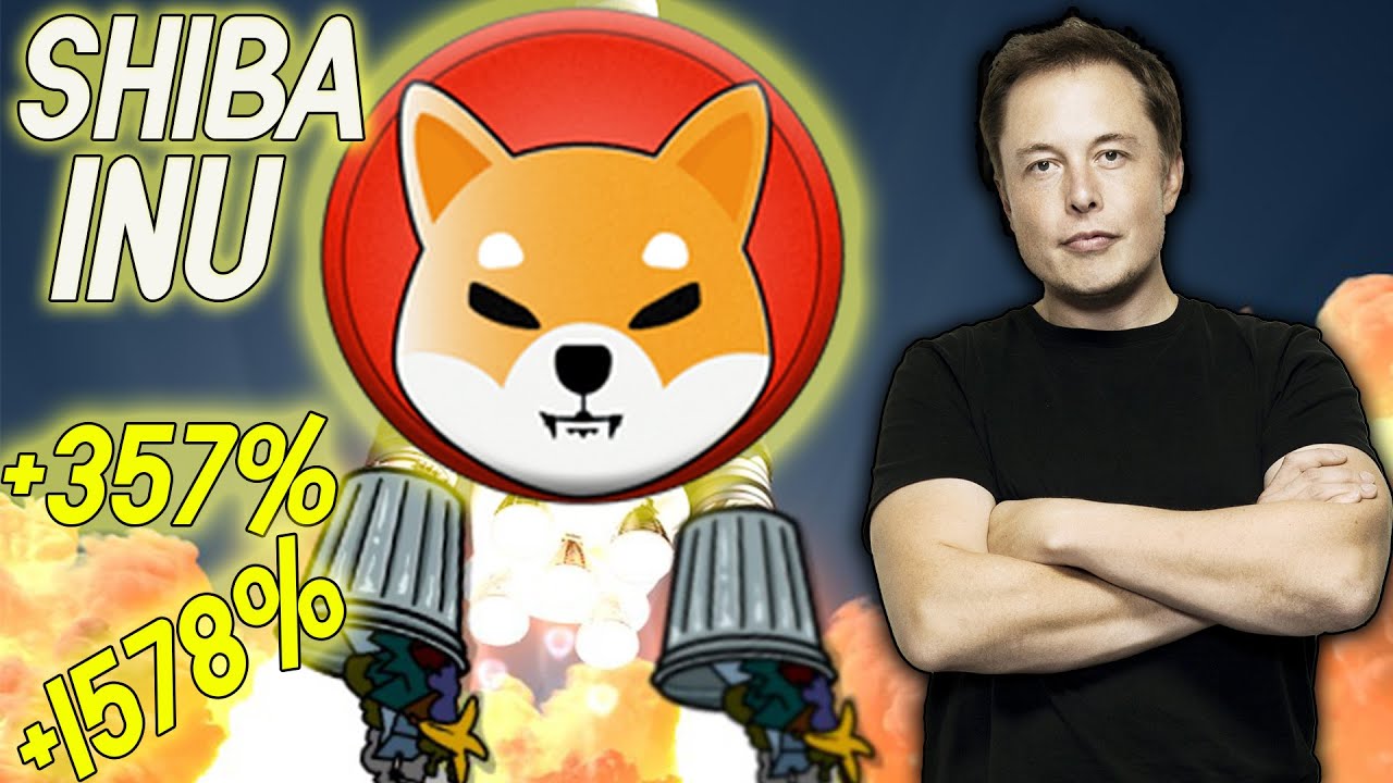 Токен Shiba Inu взлетел на 316%