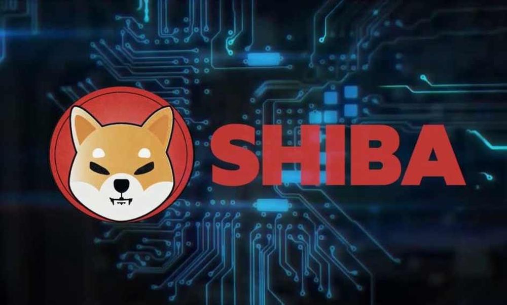 «Волк с Уолл-стрит» раскритиковал SHIBA INU и Dogecoin