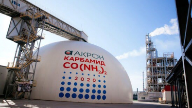 Годовая чистая прибыль 