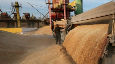 В этом сельхозгоду РФ снизила экспорт зерна на 12,4%