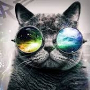 Mister.timofei