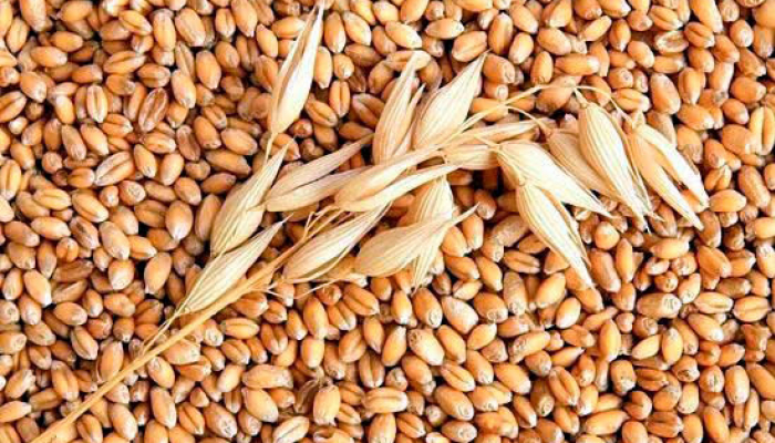 РФ с начала сельхозгода снизила экспорт пшеницы на 11%